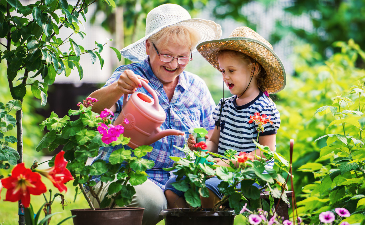 Senior woman and her grandchild working in the garden with plants.